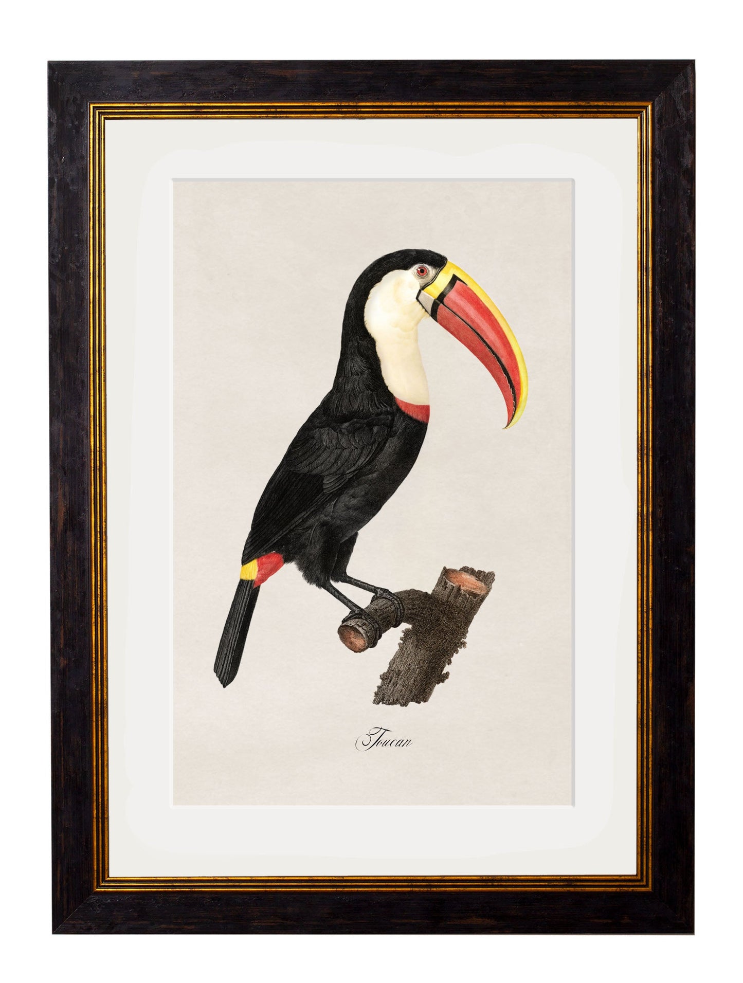 c.1809 Toucans styled view – Leya Buster Interiors