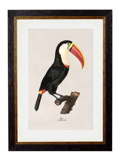 c.1809 Toucans styled view – Leya Buster Interiors