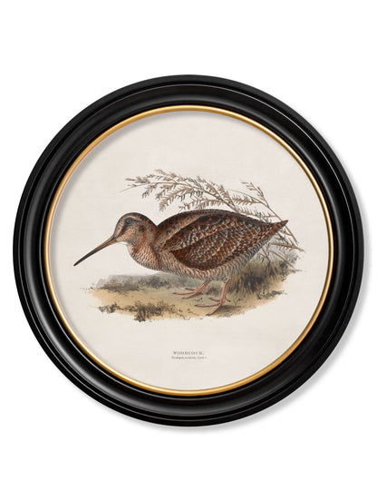 c.1837's British Game Birds – Round styled view – Leya Buster Interiors