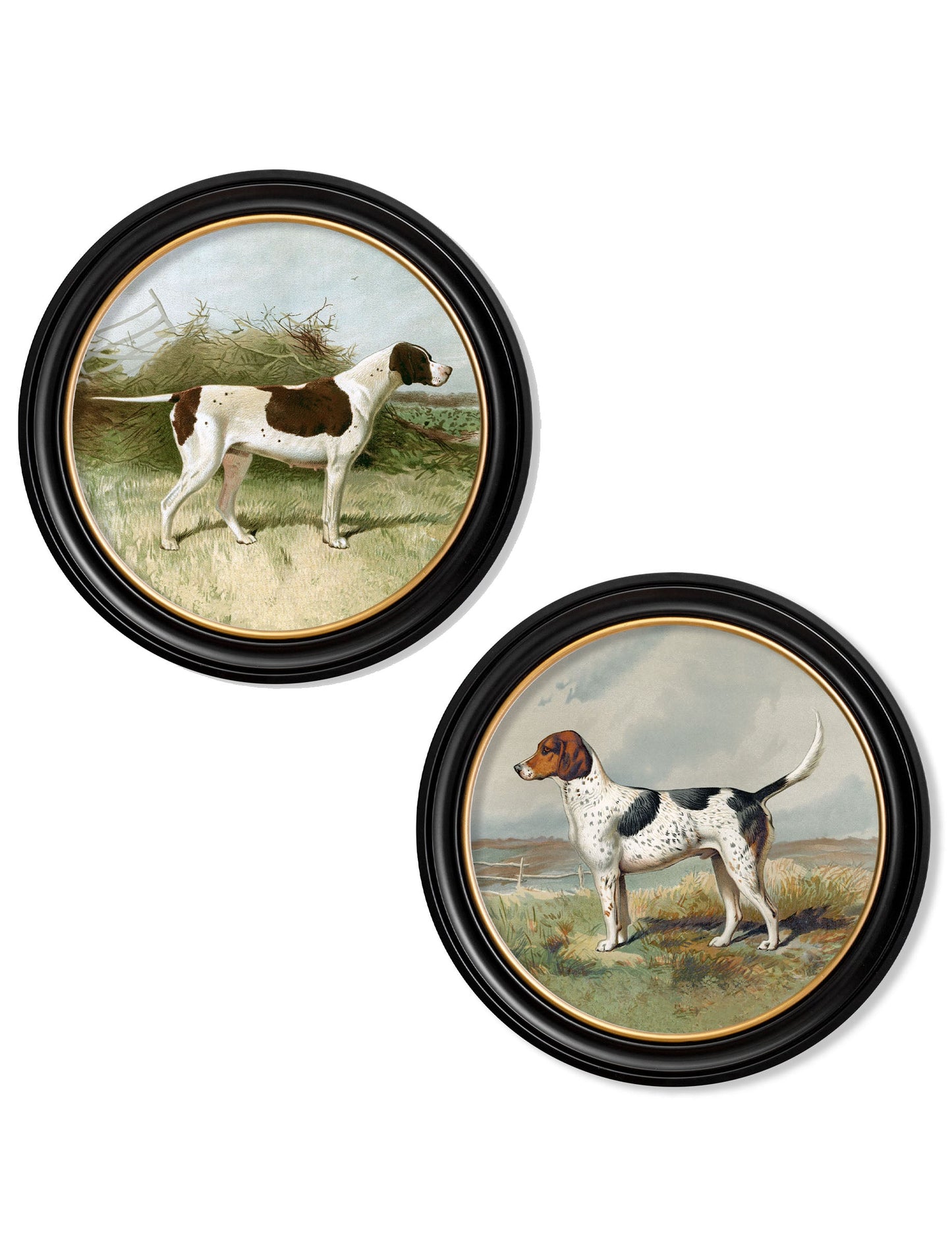 c.1881 Gun Dogs – Round Frame detail – Leya Buster Interiors