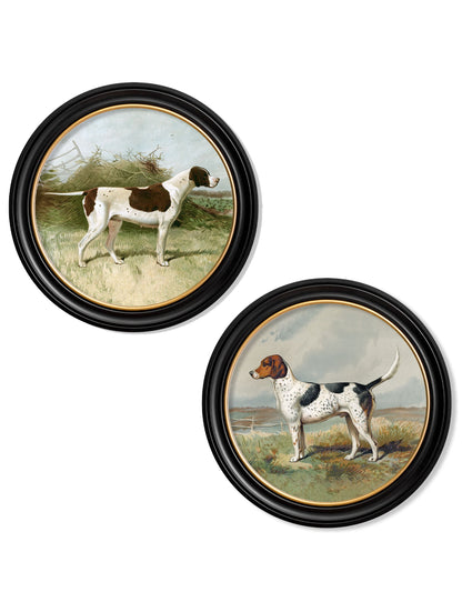 c.1881 Gun Dogs – Round Frame detail – Leya Buster Interiors