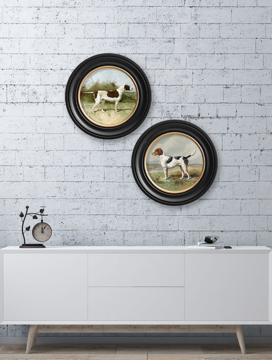 c.1881 Gun Dogs – Round Frame – framed wall art at Leya Buster Interiors