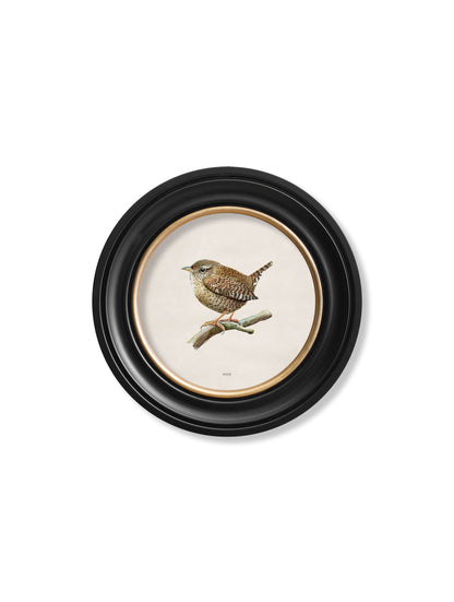 Wren in Round Frame styled view – Leya Buster Interiors