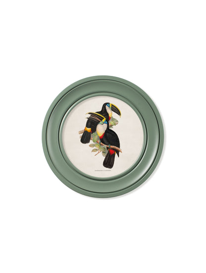 c.1848 Toucans – Round Frames Green styled view – Leya Buster Interiors