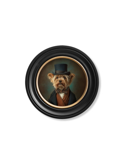 Lord Barkley of York – Gentleman Yorkshire Terrier Oxford Round Frame styled view – Leya Buster Interiors