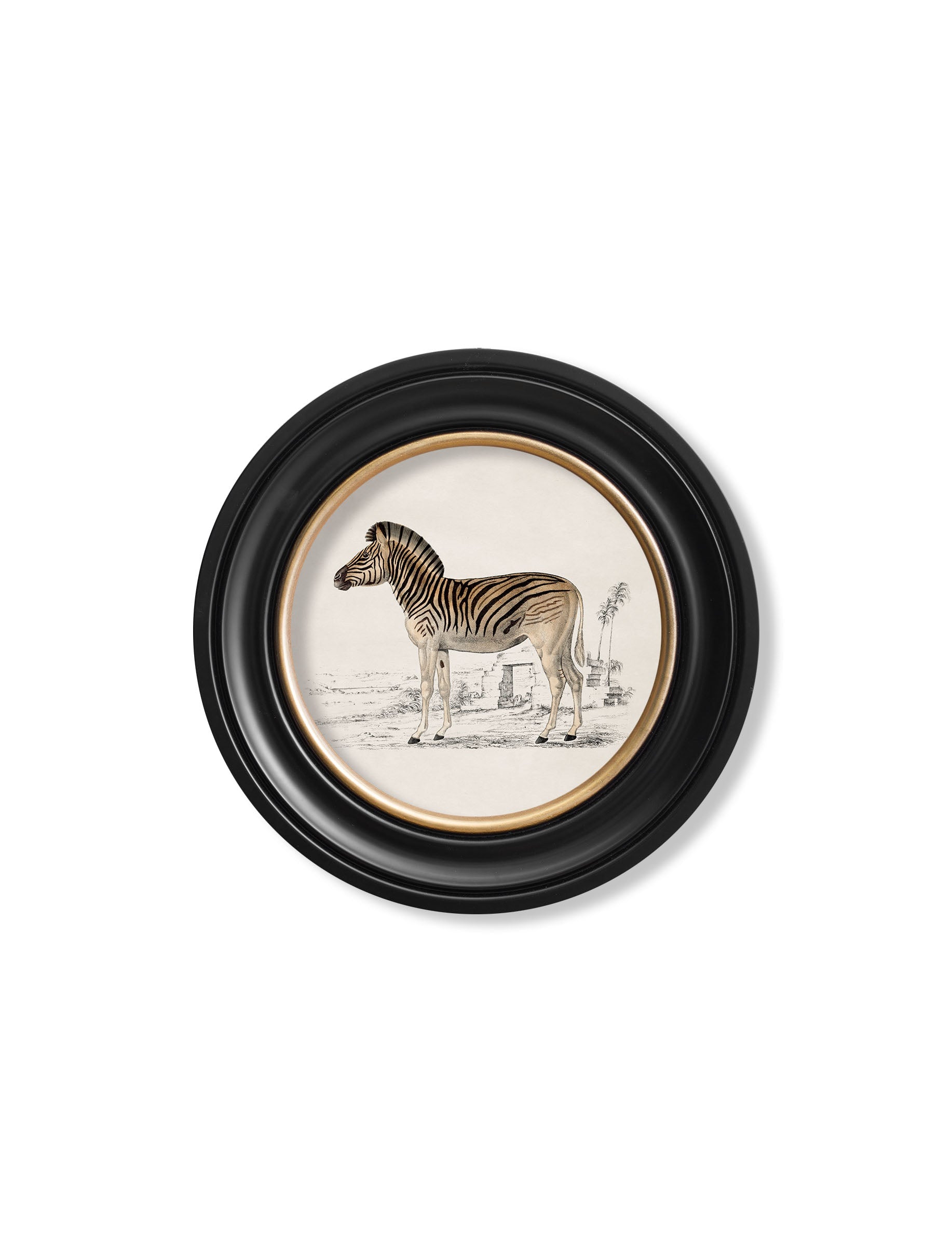 c.1774 Zebra – Round Frame styled view – Leya Buster Interiors