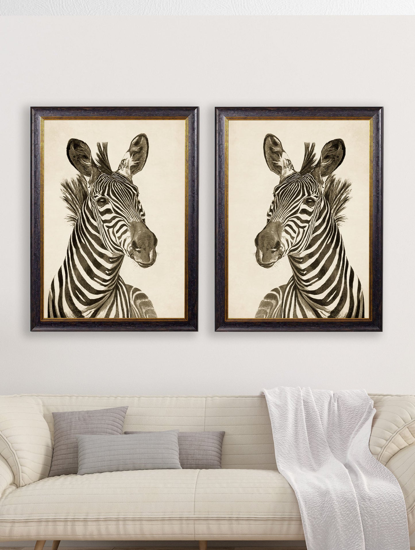 c1890 Zebra Illustrations – Dark – framed wall art at Leya Buster Interiors