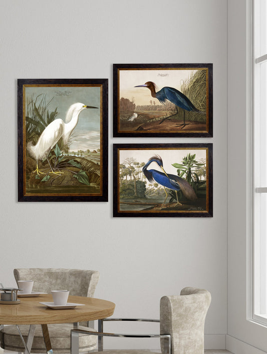 c.1838 Audubon's Herons – framed wall art at Leya Buster Interiors
