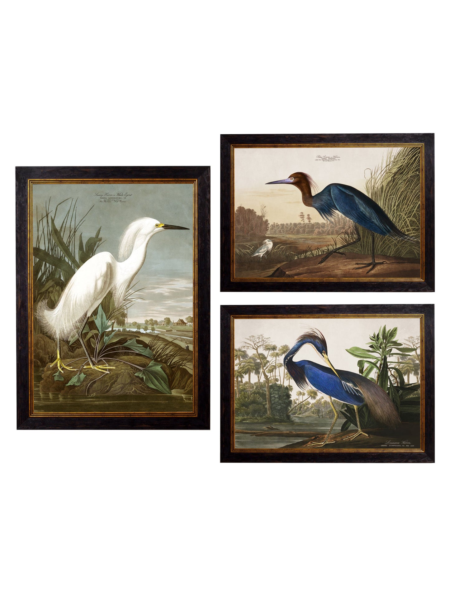 c.1838 Audubon's Herons detail – Leya Buster Interiors