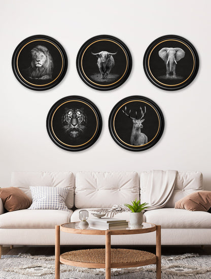 Wildlife Photography – Tiger – Round Frame – framed wall art at Leya Buster Interiors