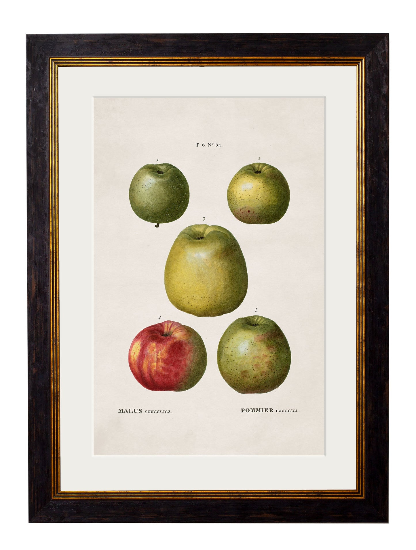 c.1819 Study of British Fruit styled view – Leya Buster Interiors