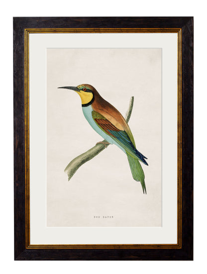 c.1870 Kingfisher & Bee Eater styled view – Leya Buster Interiors