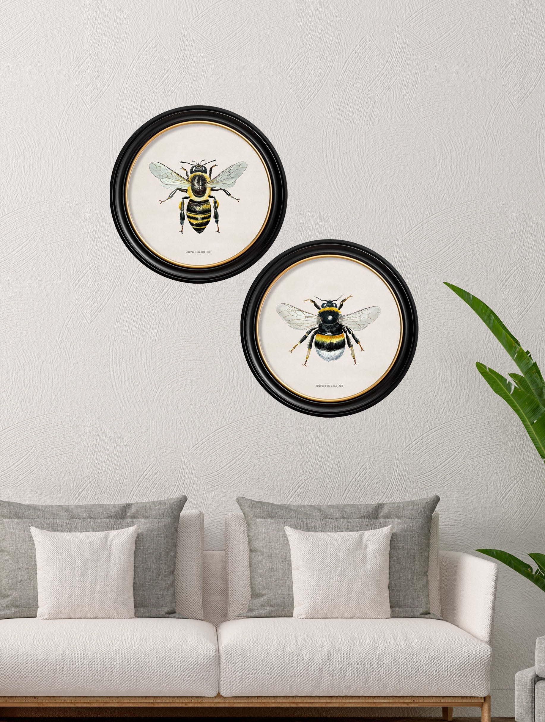 c1892 British Bees Round Frame – framed wall art at Leya Buster Interiors