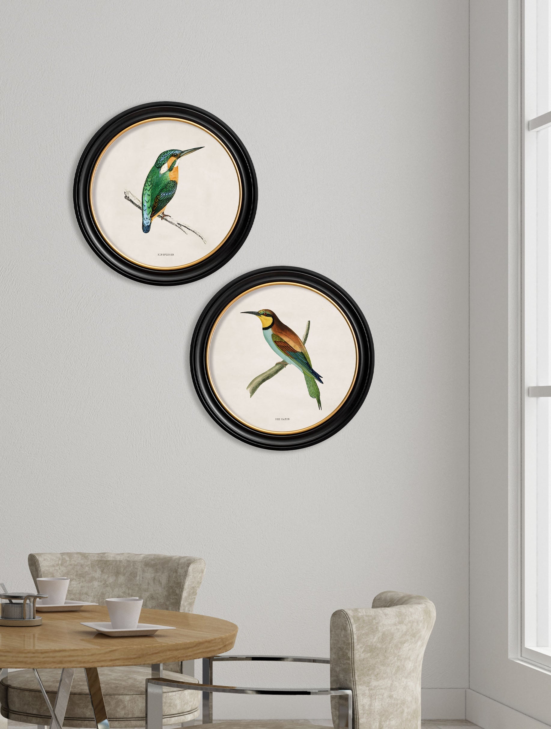 c.1870 Kingfisher and Bee Eater – framed wall art at Leya Buster Interiors