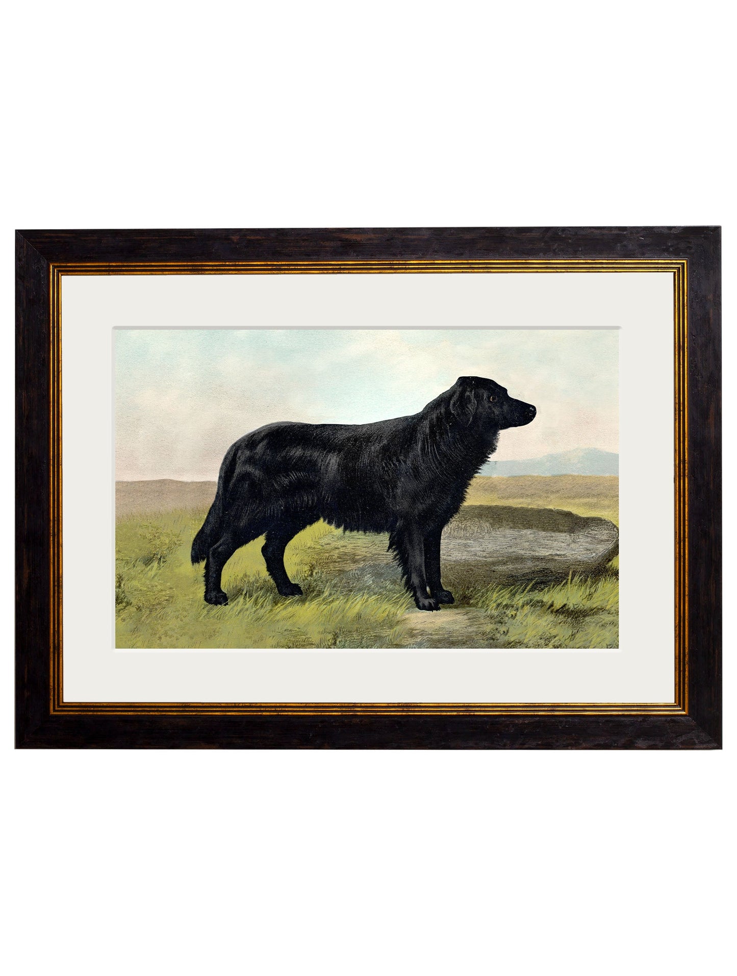 c.1881 Working Dogs styled view – Leya Buster Interiors