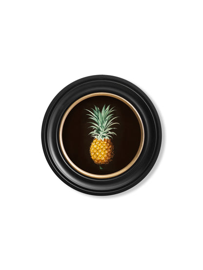 c.1812 Pineapple Study (Black) – Round Frame styled view – Leya Buster Interiors