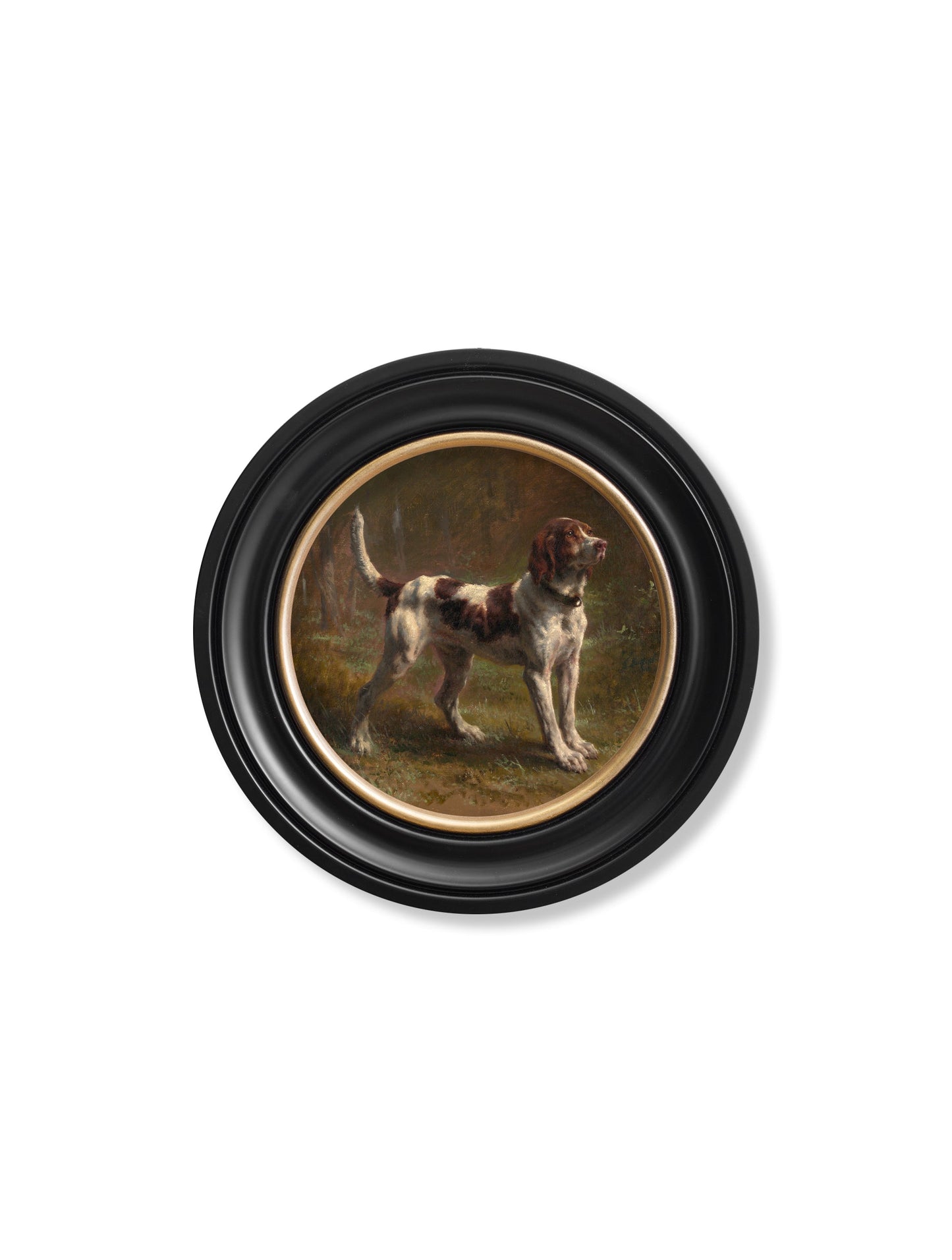 c.1856 Beagle Bloodhound – Round Frame – framed wall art at Leya Buster Interiors