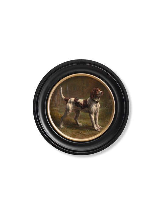 c.1856 Beagle Bloodhound – Round Frame – framed wall art at Leya Buster Interiors