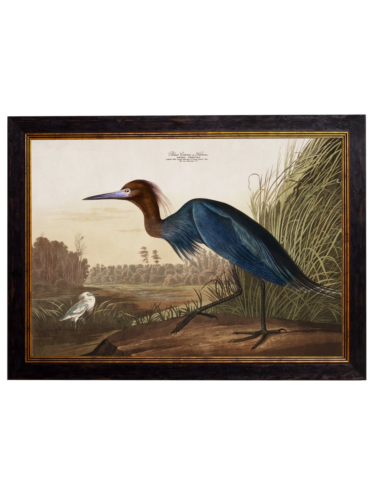 c.1838 Audubon's Herons styled view – Leya Buster Interiors