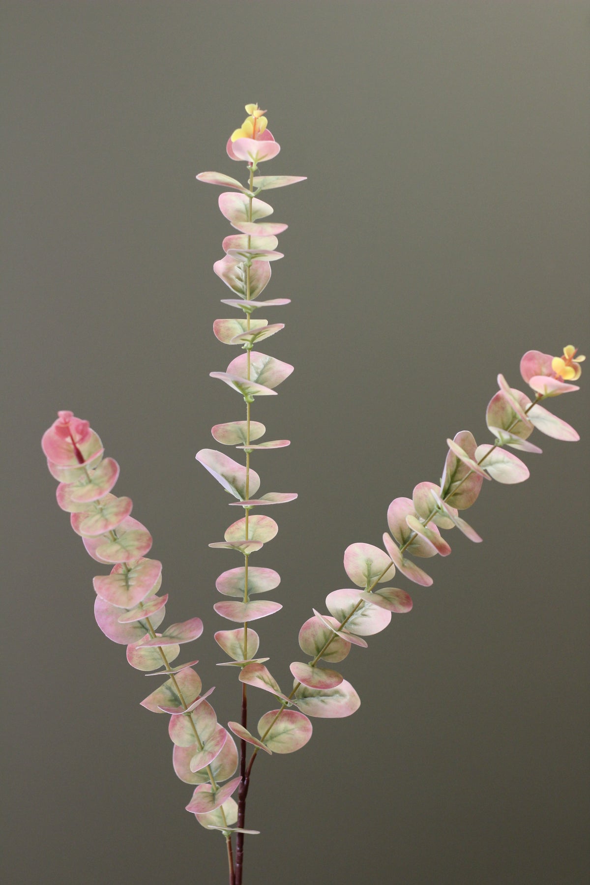 Blush & Sage Eucalyptus Stem faux foliage with soft blush and muted green tones