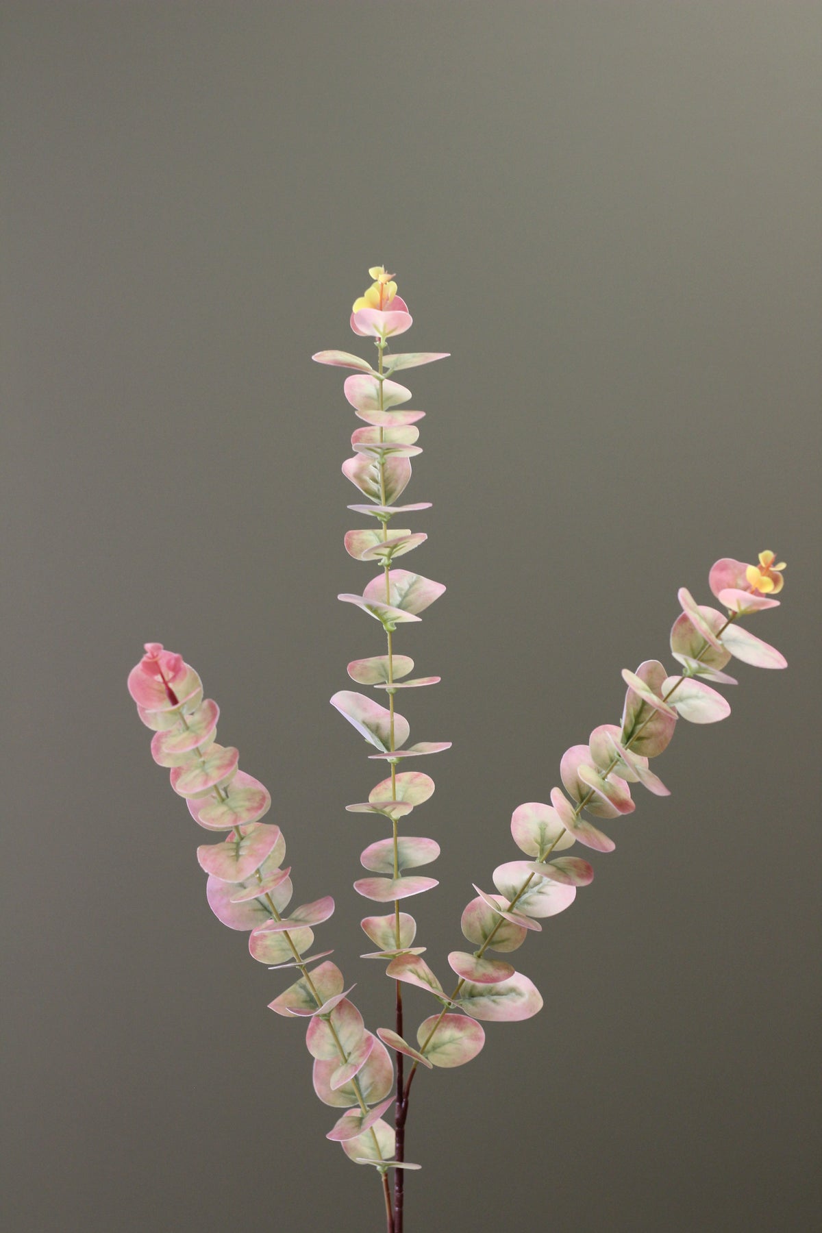 Blush & Sage Eucalyptus Stem detail view of soft faux foliage