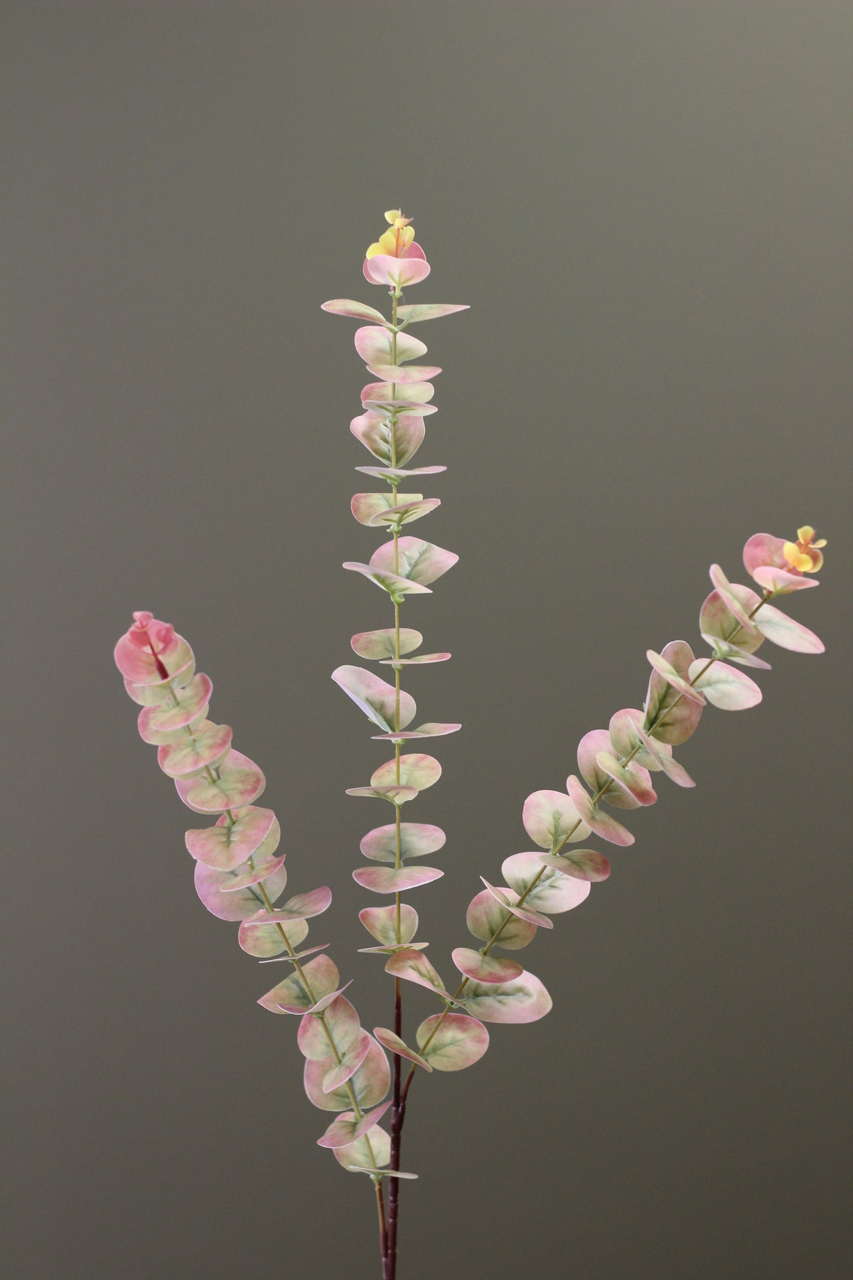 Blush & Sage Eucalyptus Stem styled in a relaxed floral arrangement