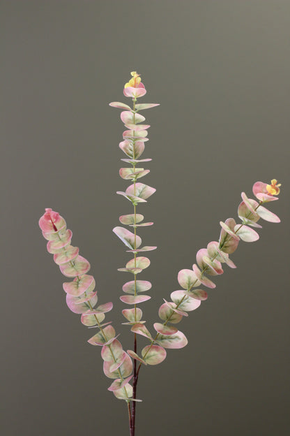 Blush & Sage Eucalyptus Stem styled in a relaxed floral arrangement