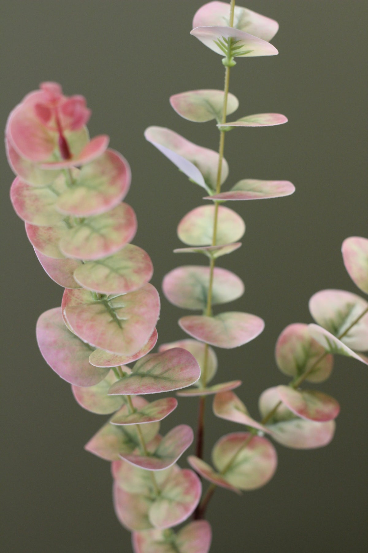 Blush & Sage Eucalyptus Stem alternative view for vase styling