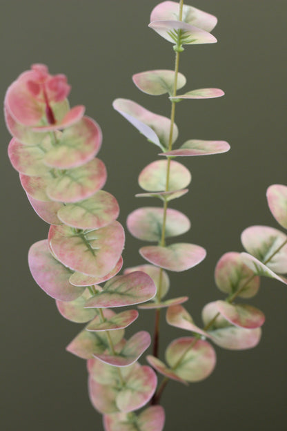Blush & Sage Eucalyptus Stem alternative view for vase styling