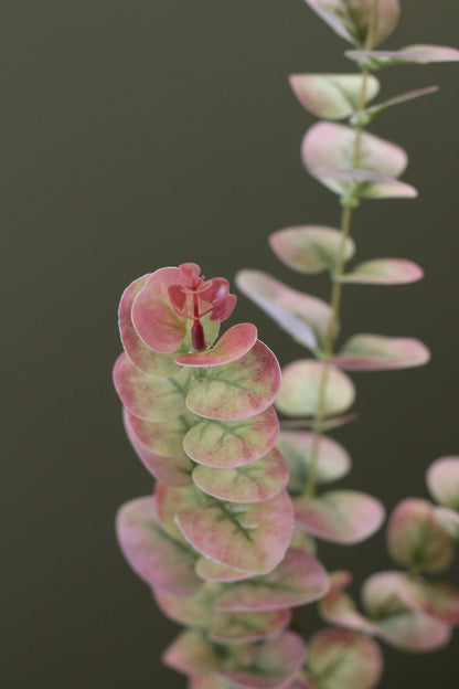 Blush & Sage Eucalyptus Stem close view of muted botanical detail