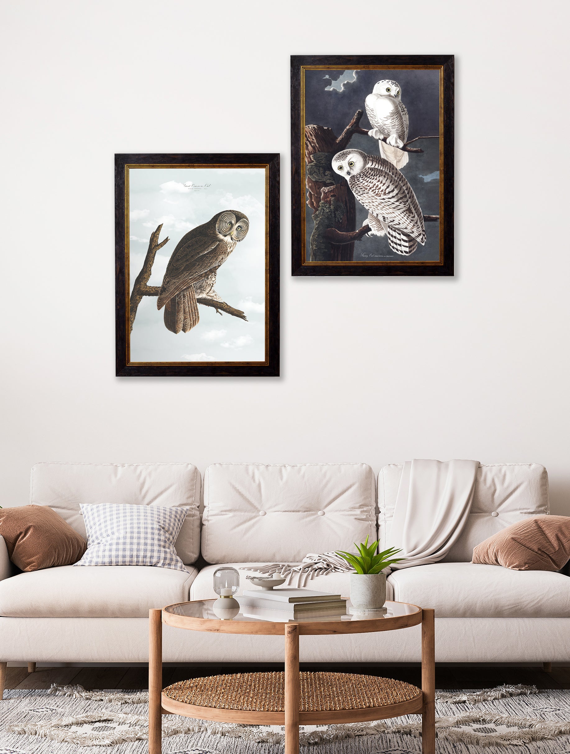 c.1838 Audubon's Owls – framed wall art at Leya Buster Interiors