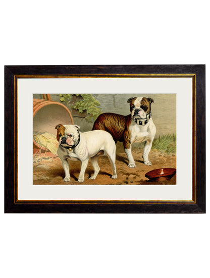 c.1881 Dogs styled view – Leya Buster Interiors
