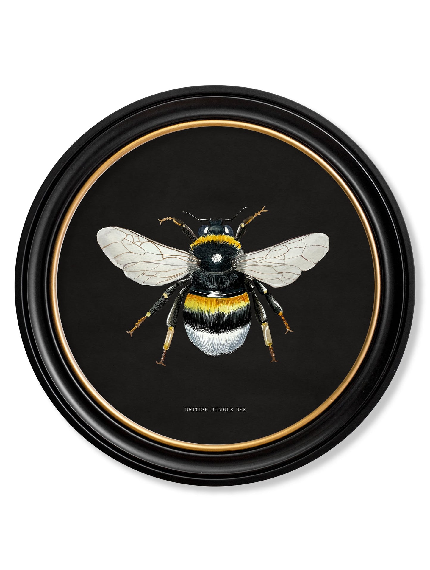 c892 British Bees Round Frame – Dark styled view – Leya Buster Interiors