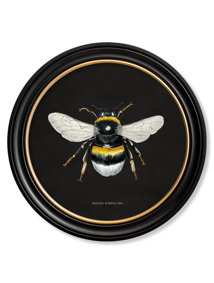 c892 British Bees Round Frame – Dark styled view – Leya Buster Interiors