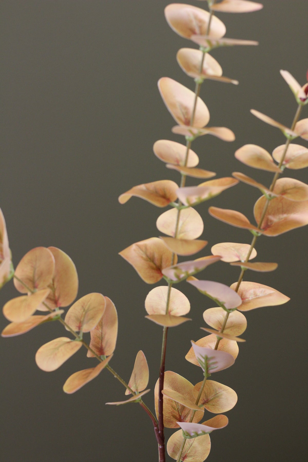 Burnished Orange Eucalyptus Stem detail view of warm faux foliage