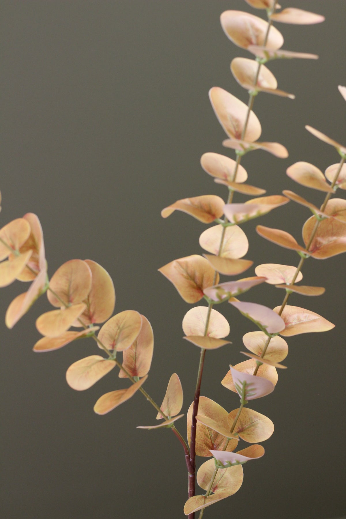 Burnished Orange Eucalyptus Stem alternative view for seasonal vase styling