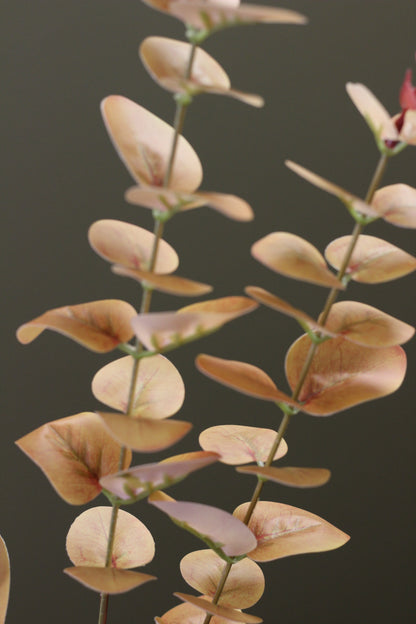 Burnished Orange Eucalyptus Stem close view of textured autumn foliage