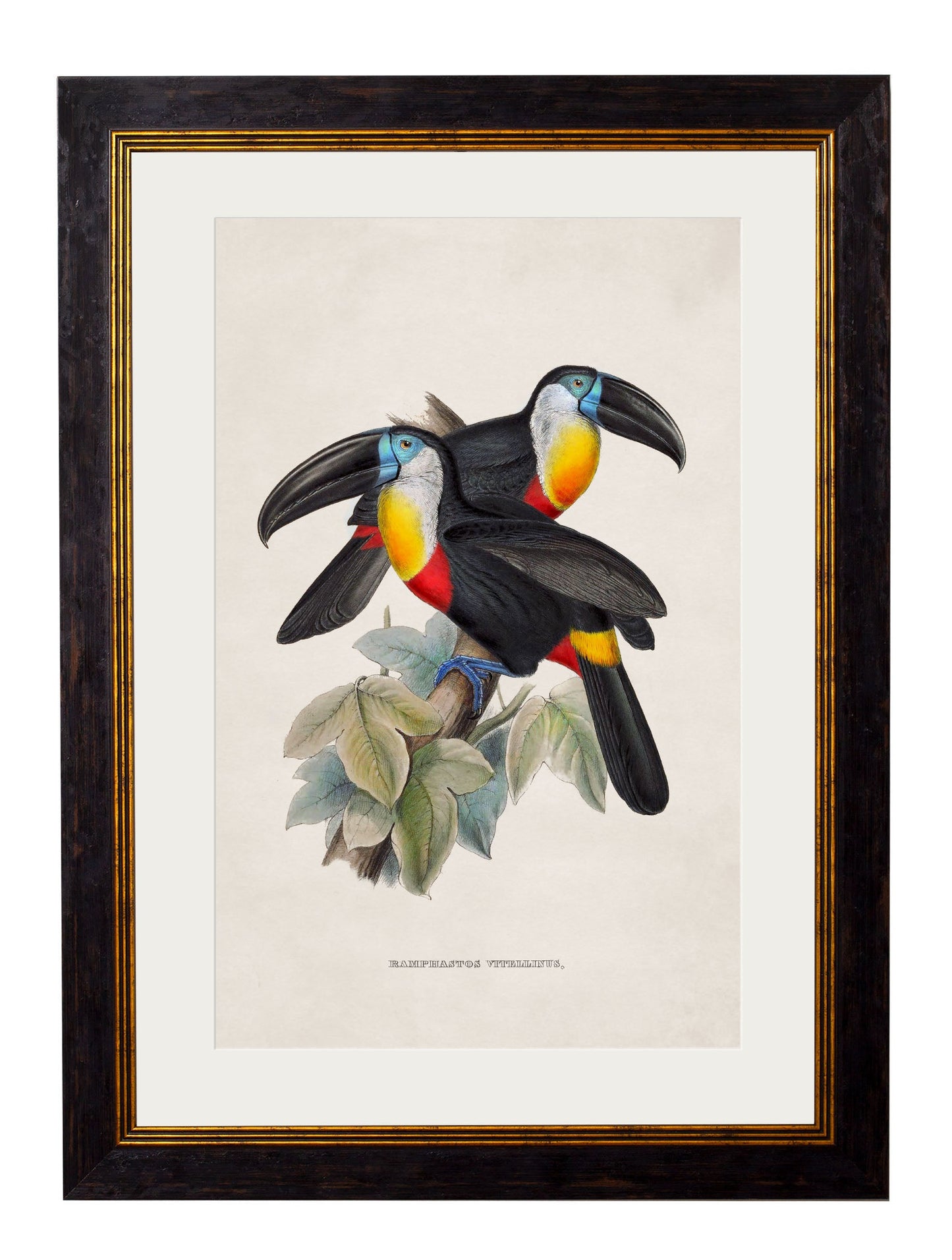 c.1848 Toucans styled view – Leya Buster Interiors