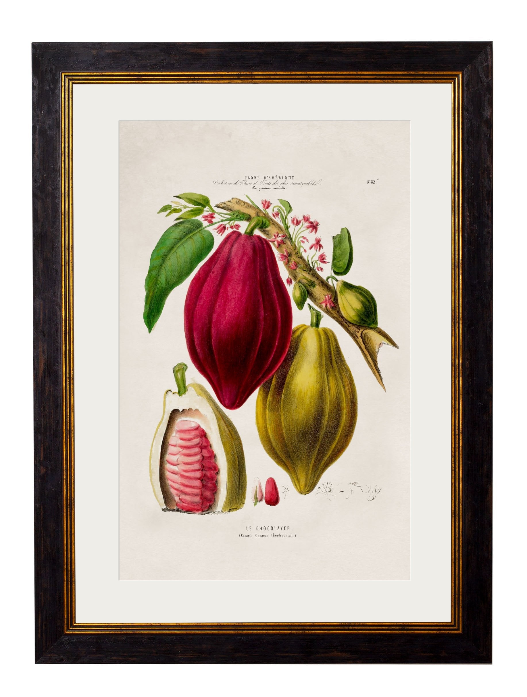 c.1843 Chocolate Plant detail – Leya Buster Interiors