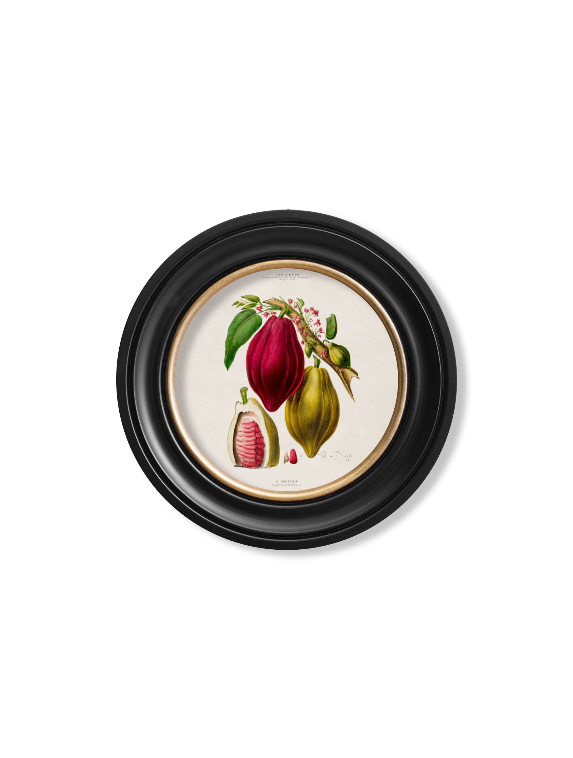 c.1843 Chocolate Plant – Round Frame styled view – Leya Buster Interiors