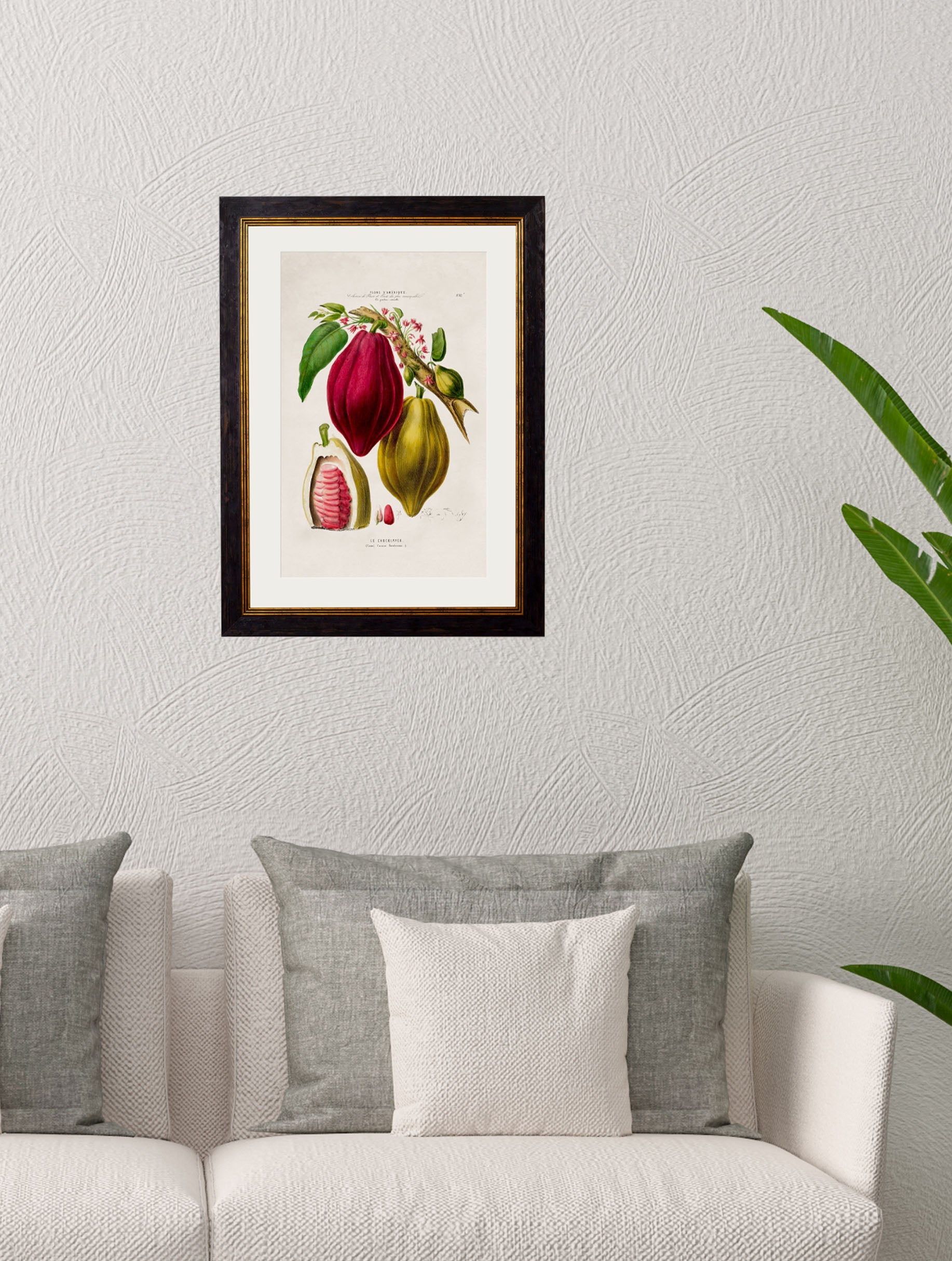 c.1843 Chocolate Plant – framed wall art at Leya Buster Interiors