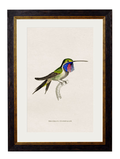 c.1833 Hummingbirds styled view – Leya Buster Interiors