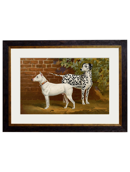 c.1881 Dogs styled view – Leya Buster Interiors