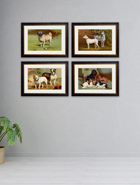 c.1881 Dogs – framed wall art at Leya Buster Interiors
