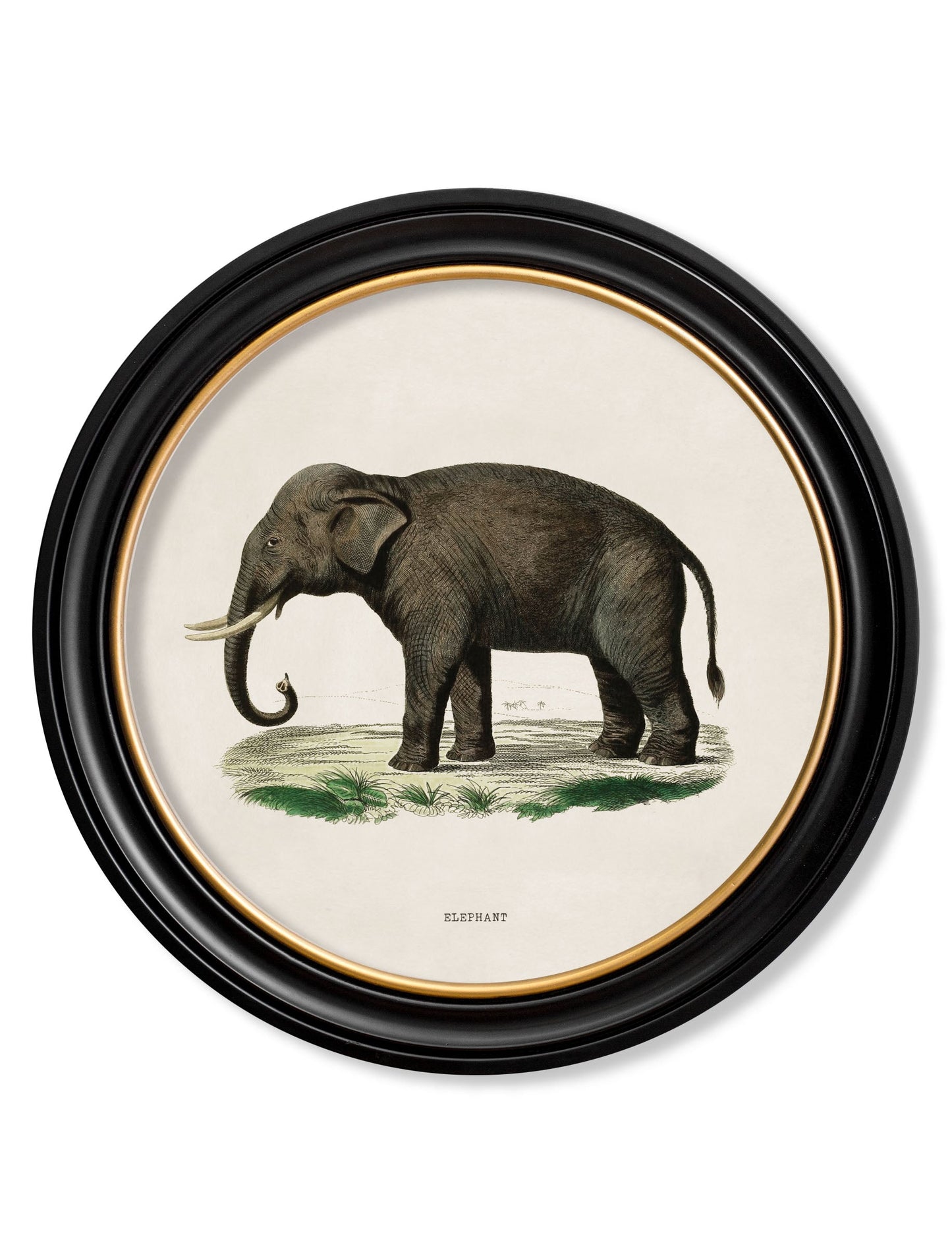 c.1846 Elephants in Round Frame styled view – Leya Buster Interiors