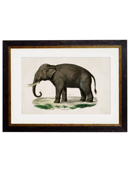 c.1846 Elephants styled view – Leya Buster Interiors