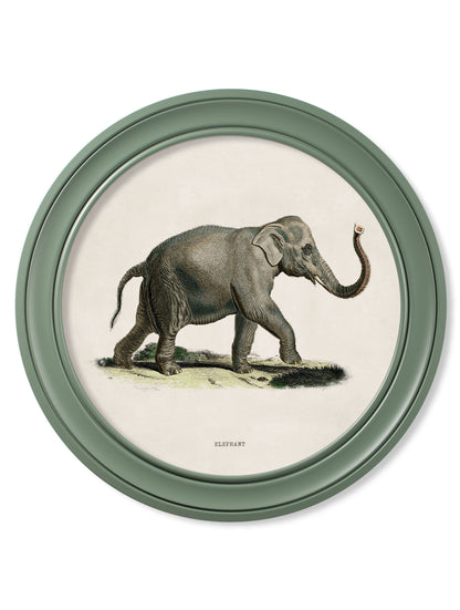 c.1846 Elephants in Round Frame Green styled view – Leya Buster Interiors