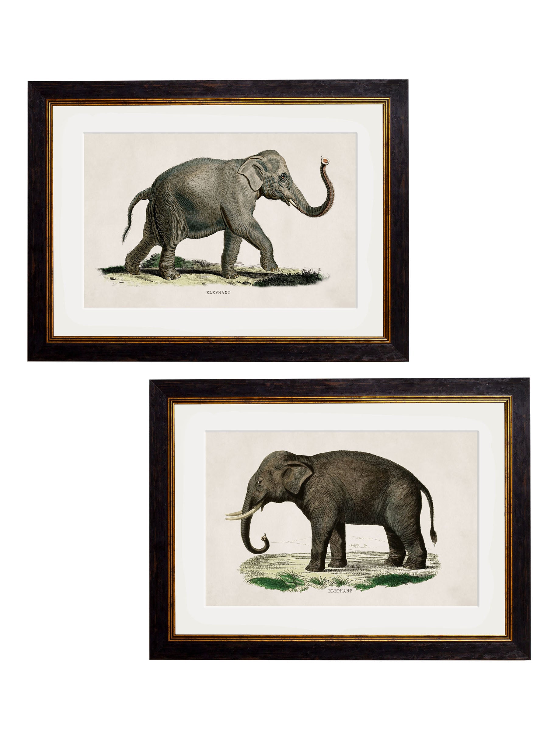 c.1846 Elephants detail – Leya Buster Interiors