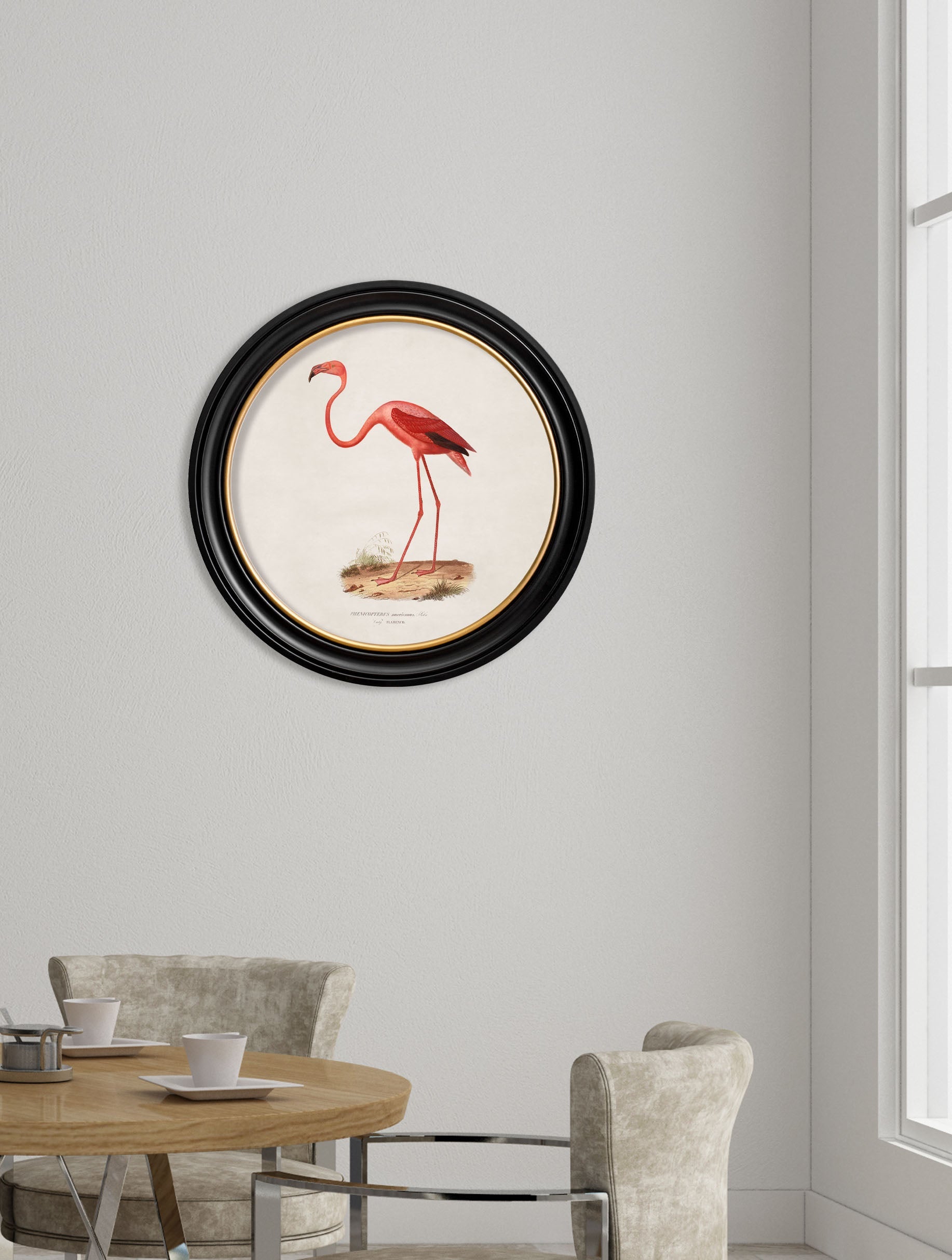 c.1830 Flamingo – Round Frame – framed wall art at Leya Buster Interiors