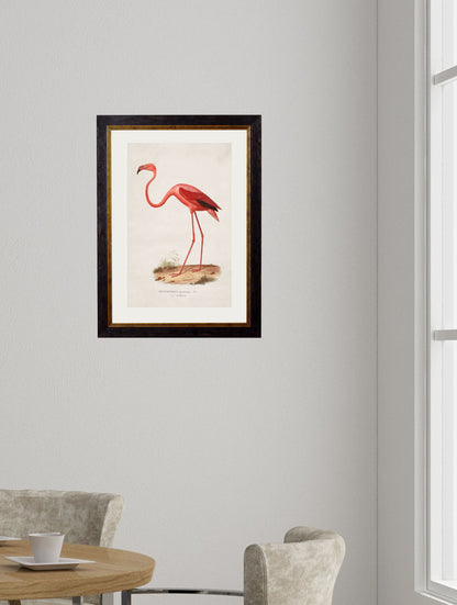 c.1830 Flamingo – framed wall art at Leya Buster Interiors